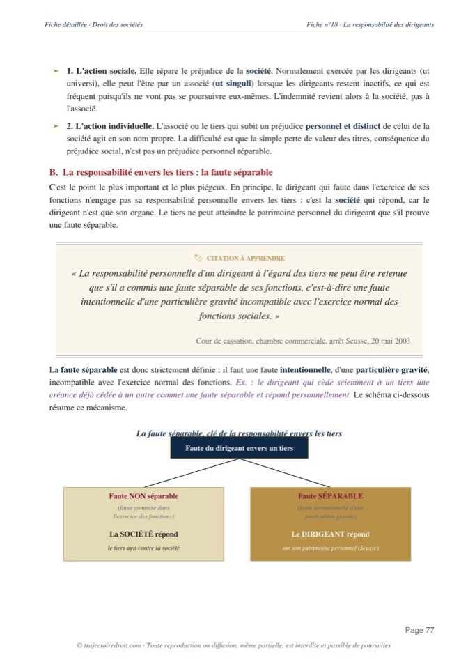 Aperçu de la fiche Droit des sociétés L3