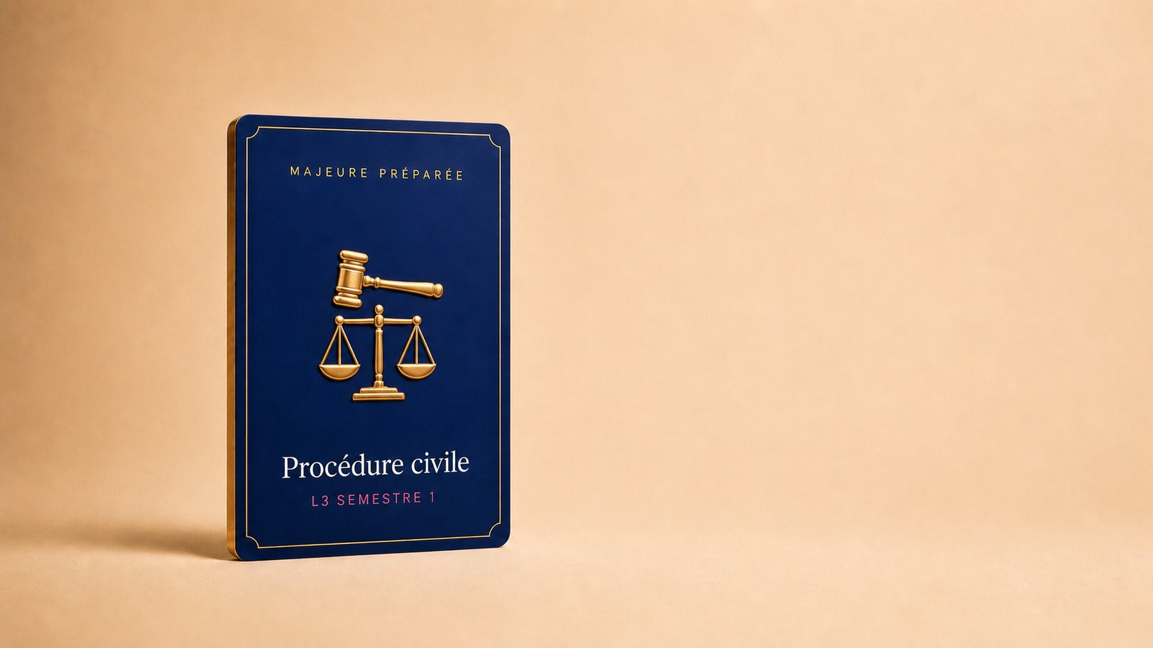 Aperçu de la majeure préparée Procédure civile